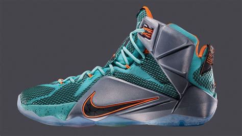 lebron james shoes.